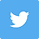 twitter-icon